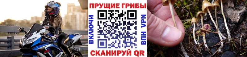 Псилоцибиновые грибы мухоморы  Плёс 